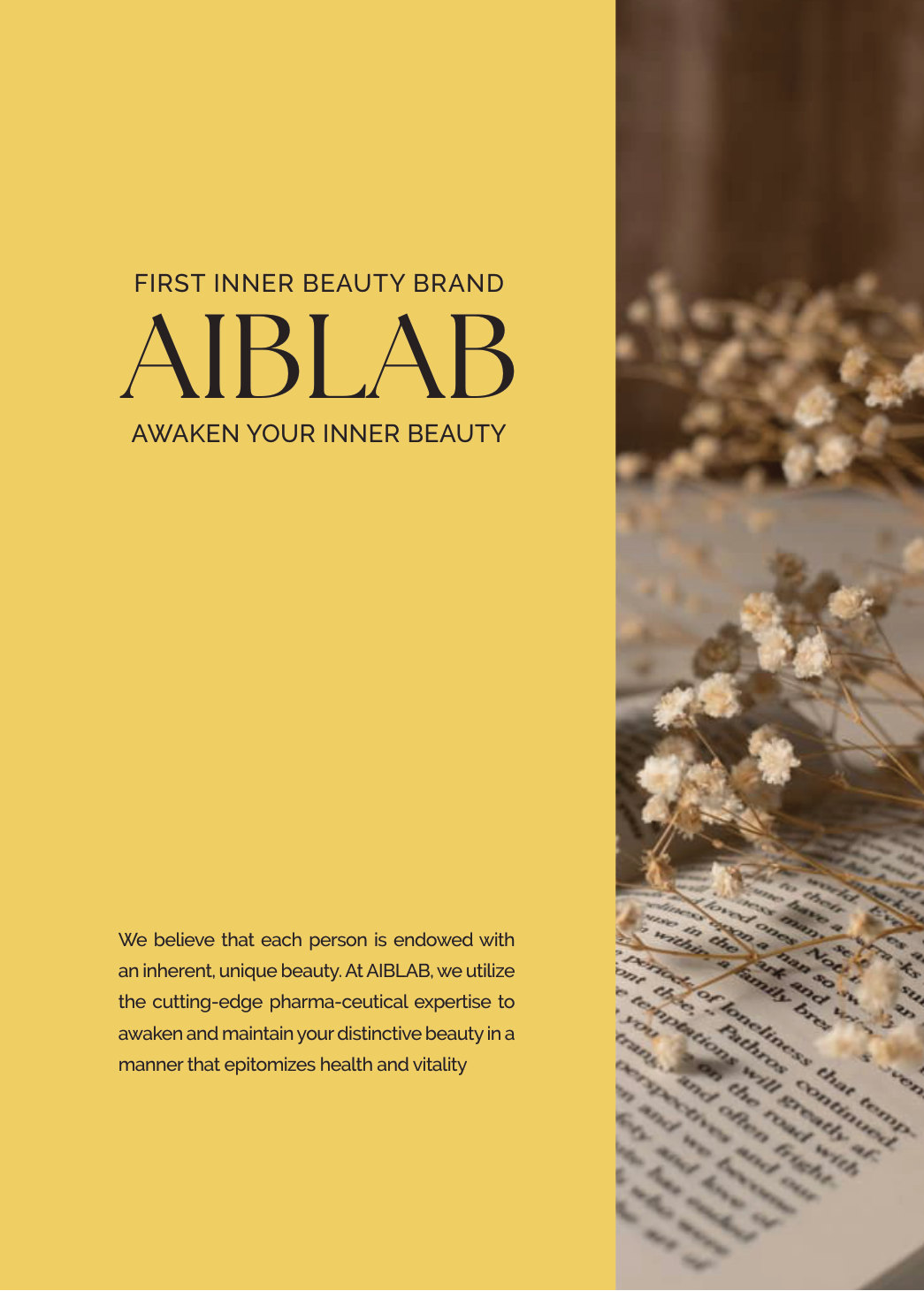 AIBLAB 브로슈어 1페이지