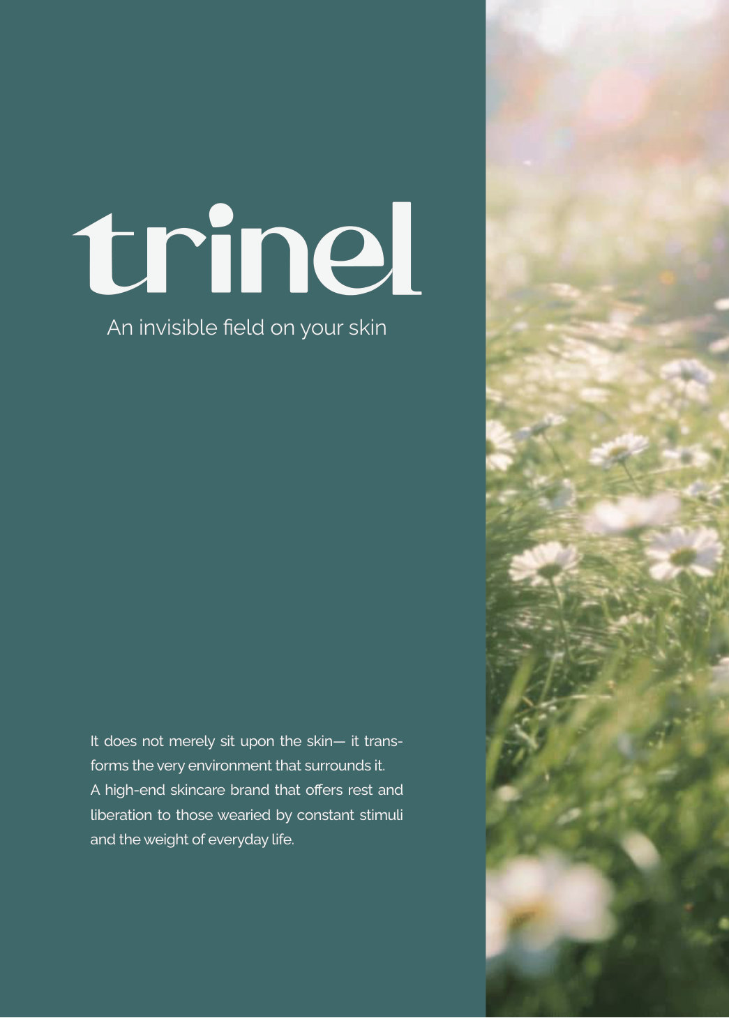 Trinel 브로셔 1페이지 — 표지